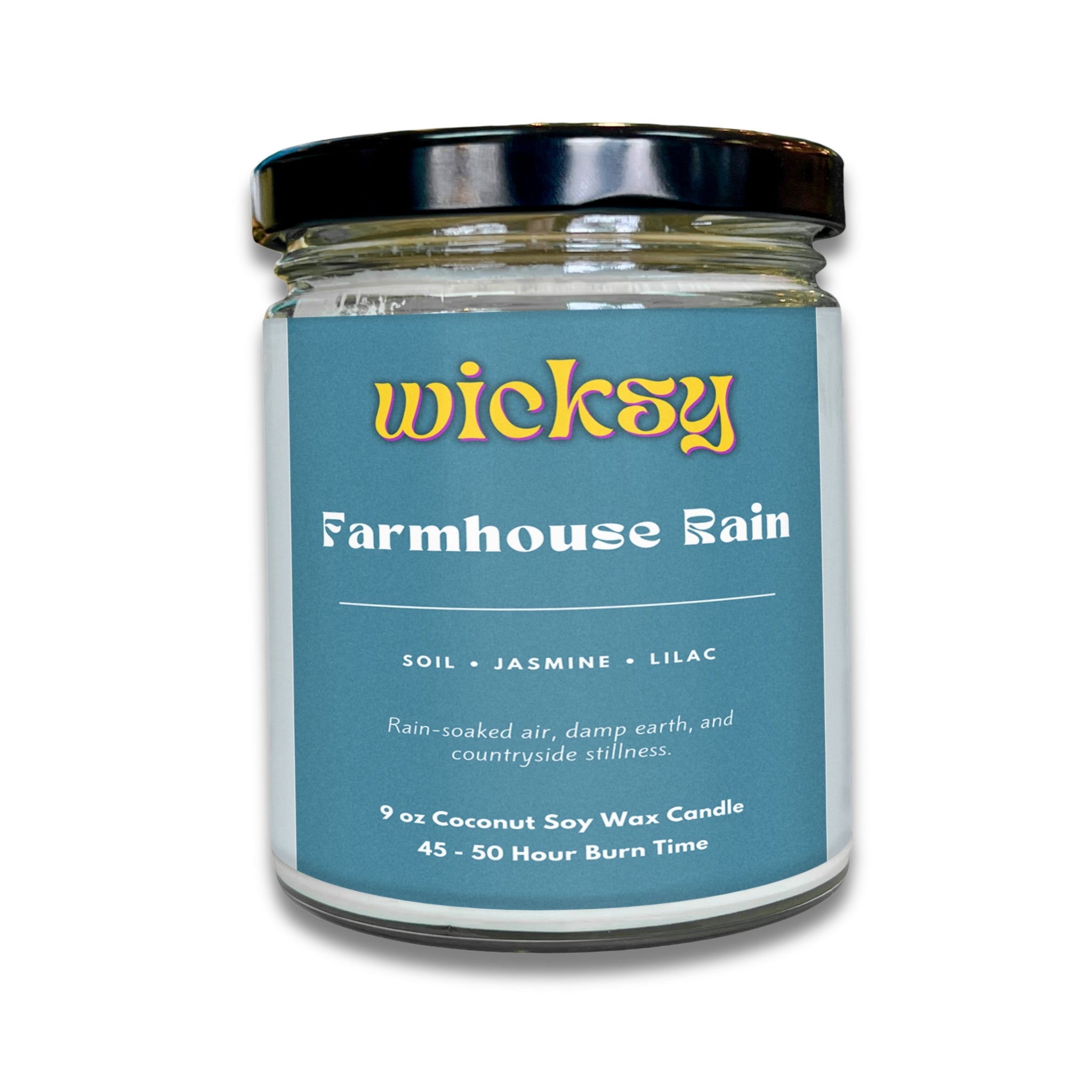 Wicksy 9oz Single Wick Candle | Spotify Playlist + Wildflower Seed Kit Included