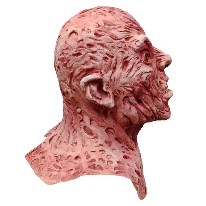 Detailed anatomical model of a human head and neck on a white background