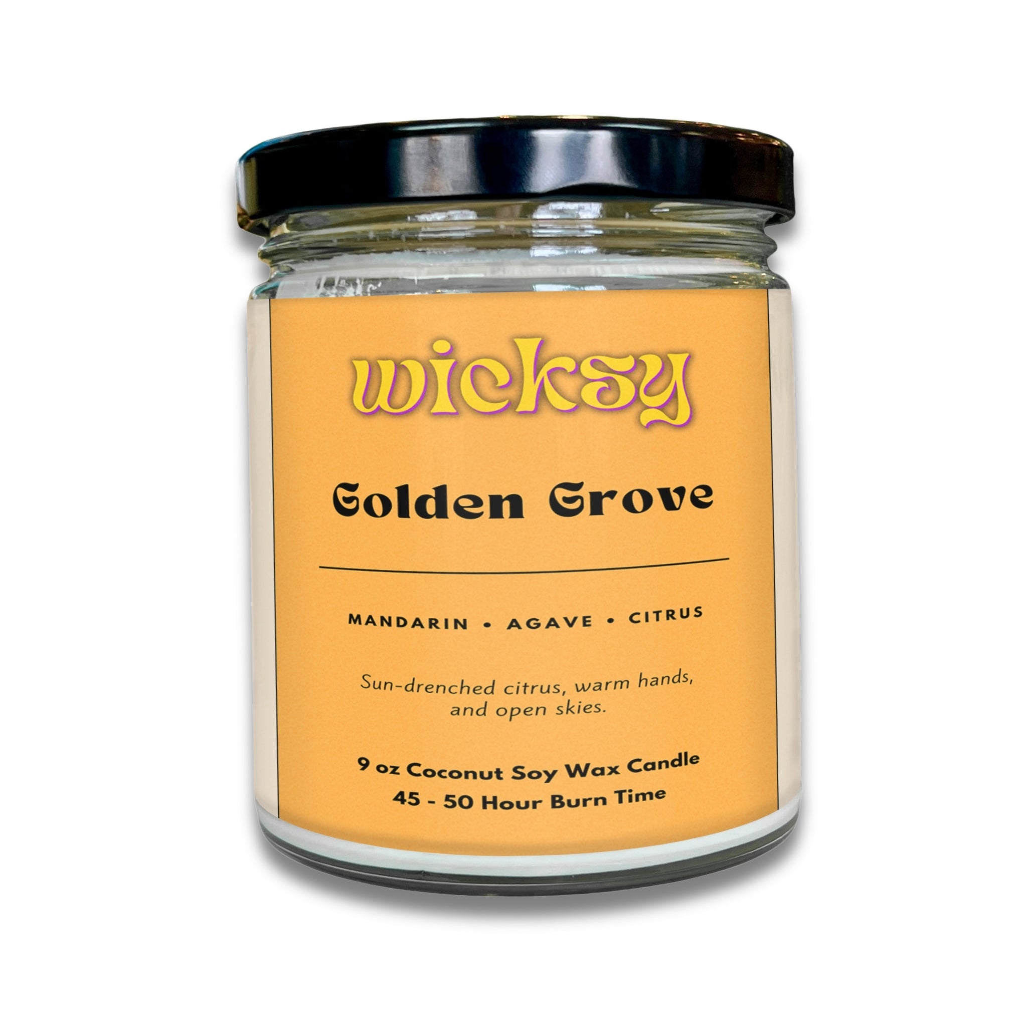Wicksy 9oz Single Wick Candle | Spotify Playlist + Wildflower Seed Kit Included