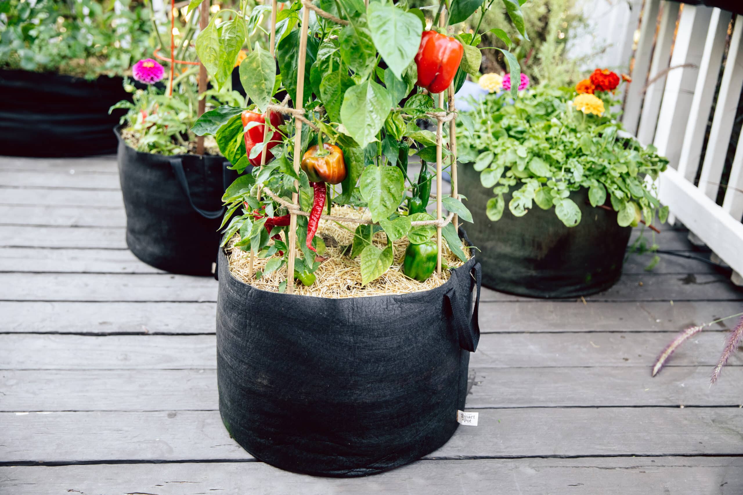 Smart Pot 15-Gallon Vegetable Planters — 3-Pack, Made in USA