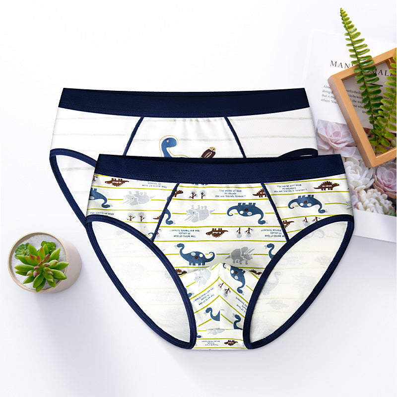 Two pairs of underwear with dinosaur pattern on a white surface.