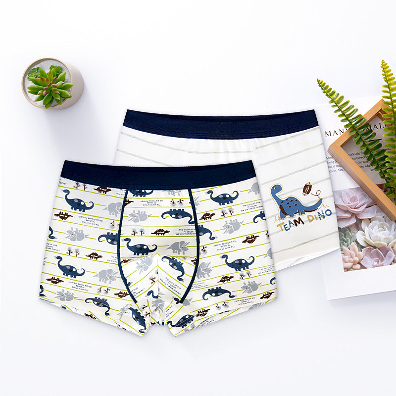 Two pairs of boys' underwear with dinosaur patterns on a white surface.