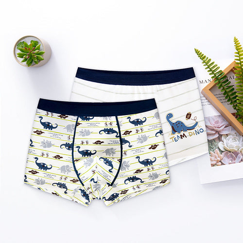 Two pairs of boys' underwear with dinosaur patterns on a white surface.