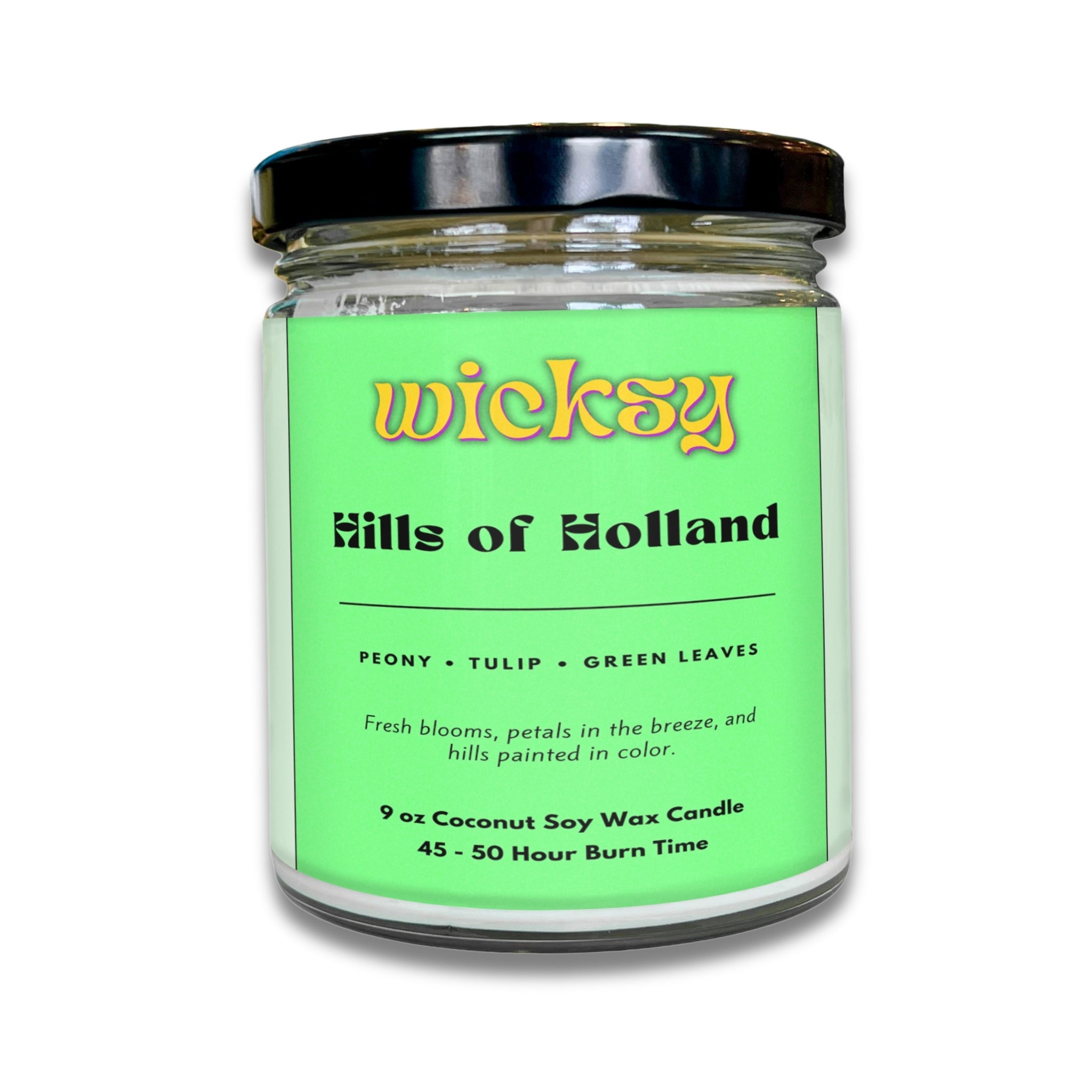 Wicksy 9oz Single Wick Candle | Spotify Playlist + Wildflower Seed Kit Included