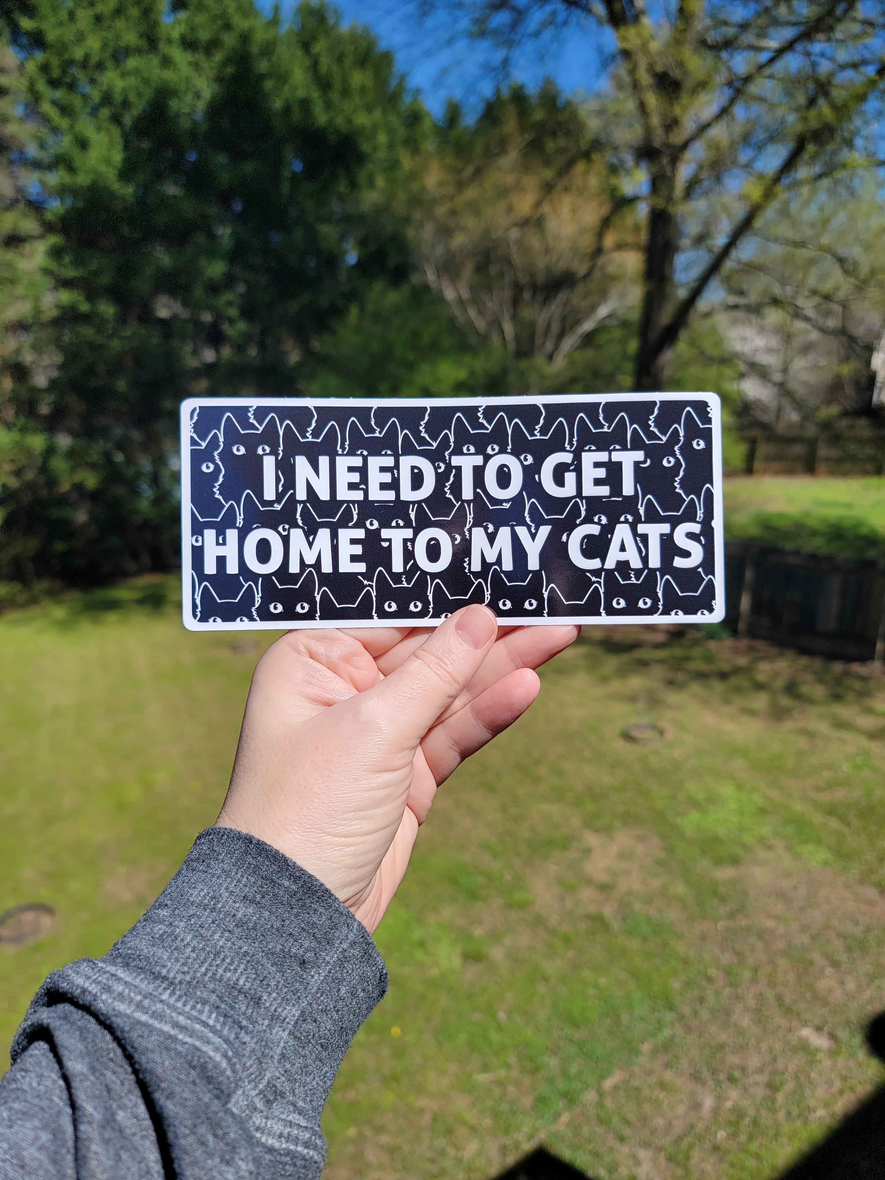 Hand holding a sign with text 'I NEED TO GET HOME TO MY CATS' against a natural background.