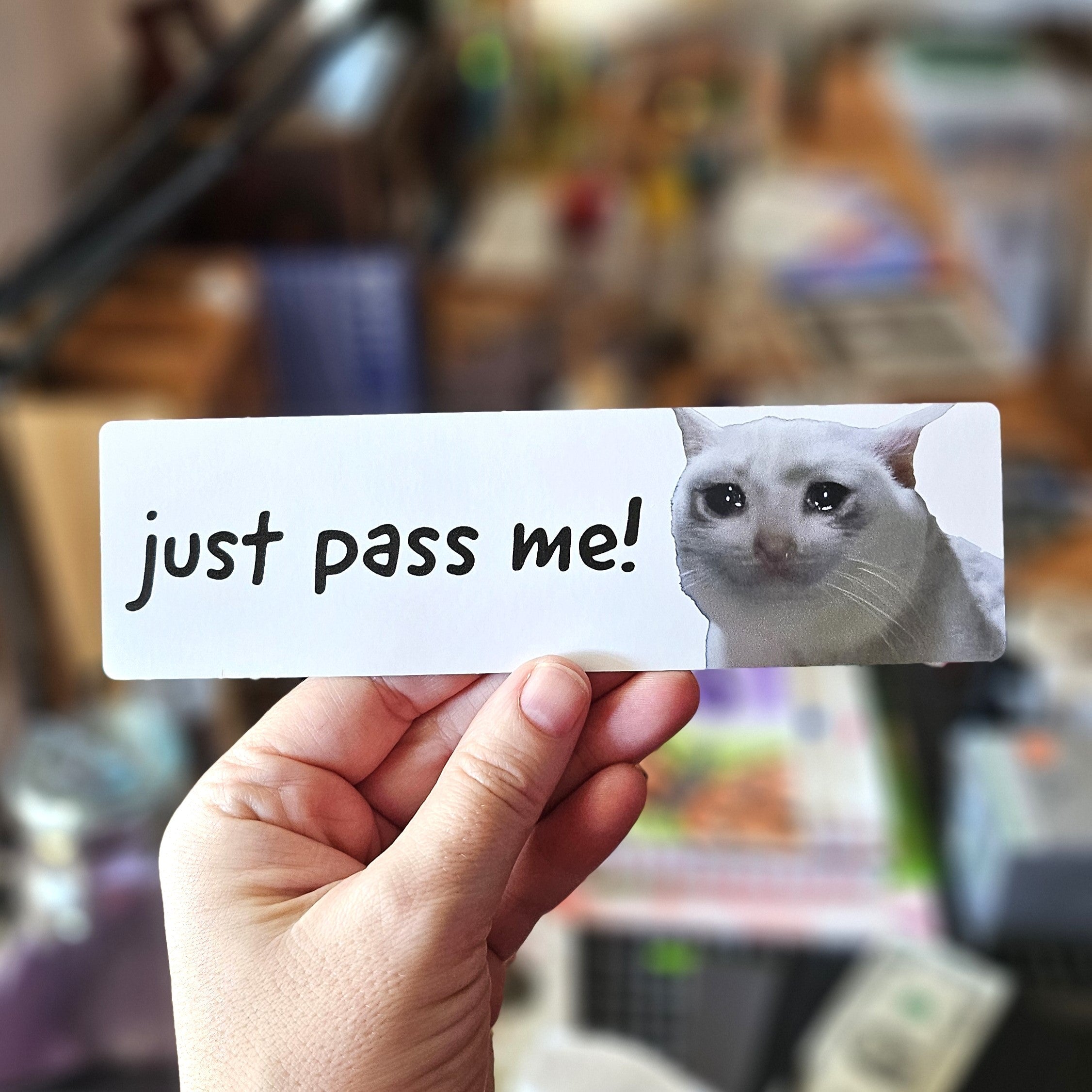 Hand holding a card with a cat picture and text 'just pass me!' in a blurred indoor setting.