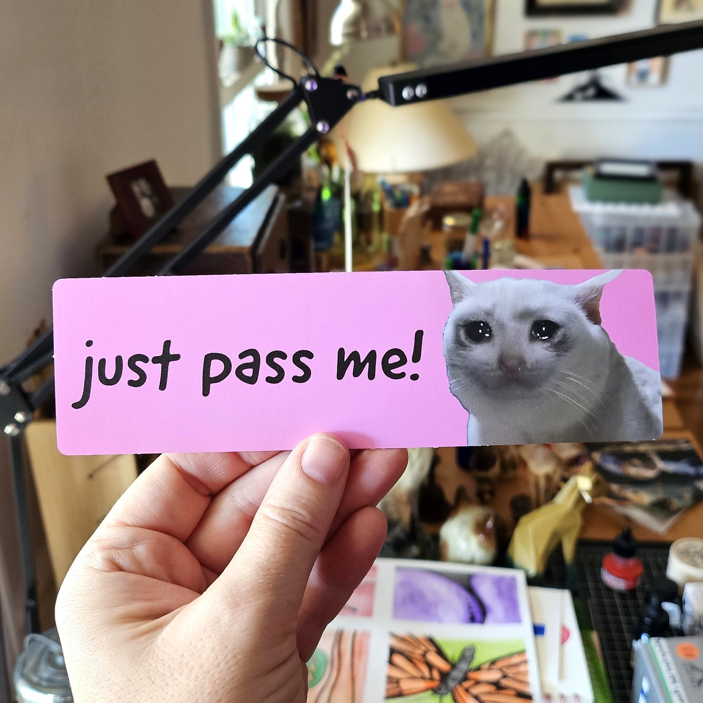 Hand holding a pink sign with a cat's face and 'just pass me!' text in a room.