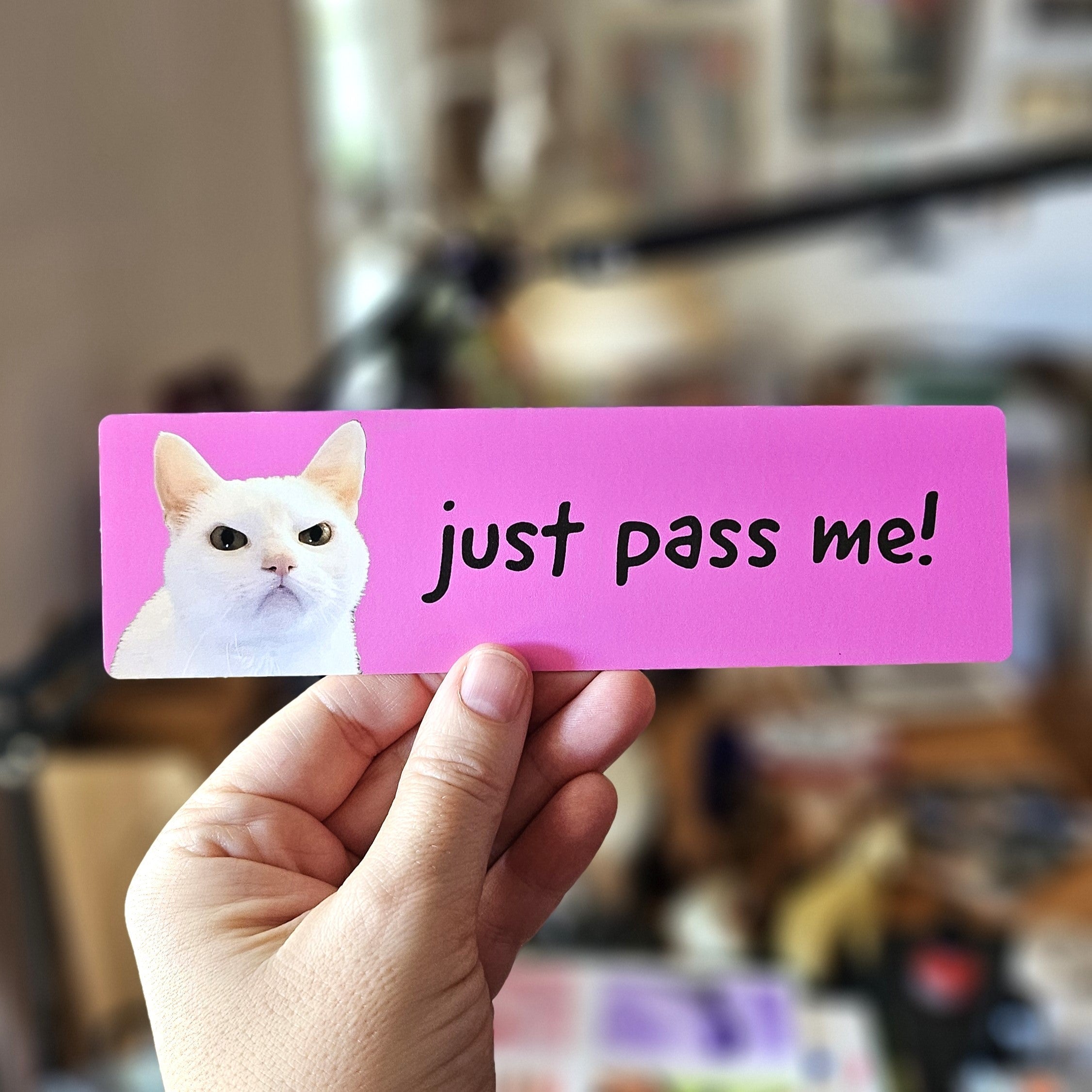Hand holding a pink sign with a cat illustration and text 'just pass me!' in a blurred indoor setting.
