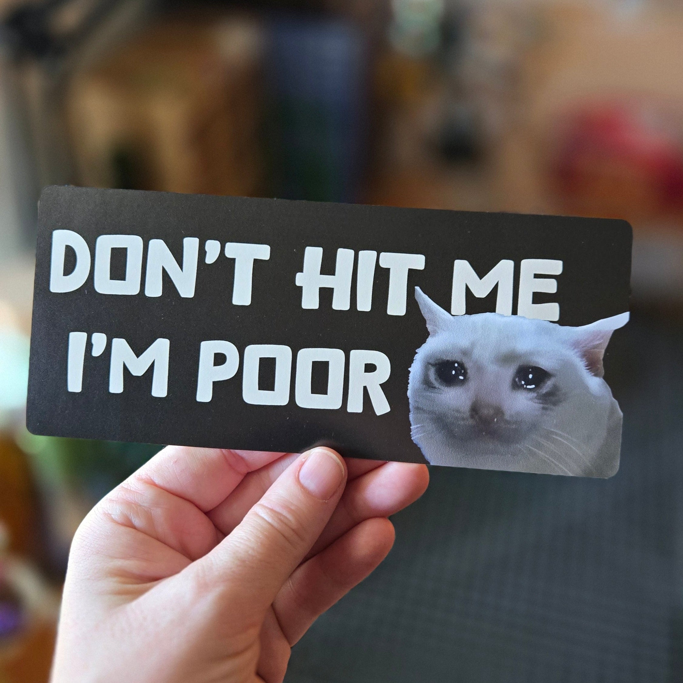 Hand holding a sign with a cat illustration and text 'DON'T HIT ME I'M POOR' against a blurred background.
