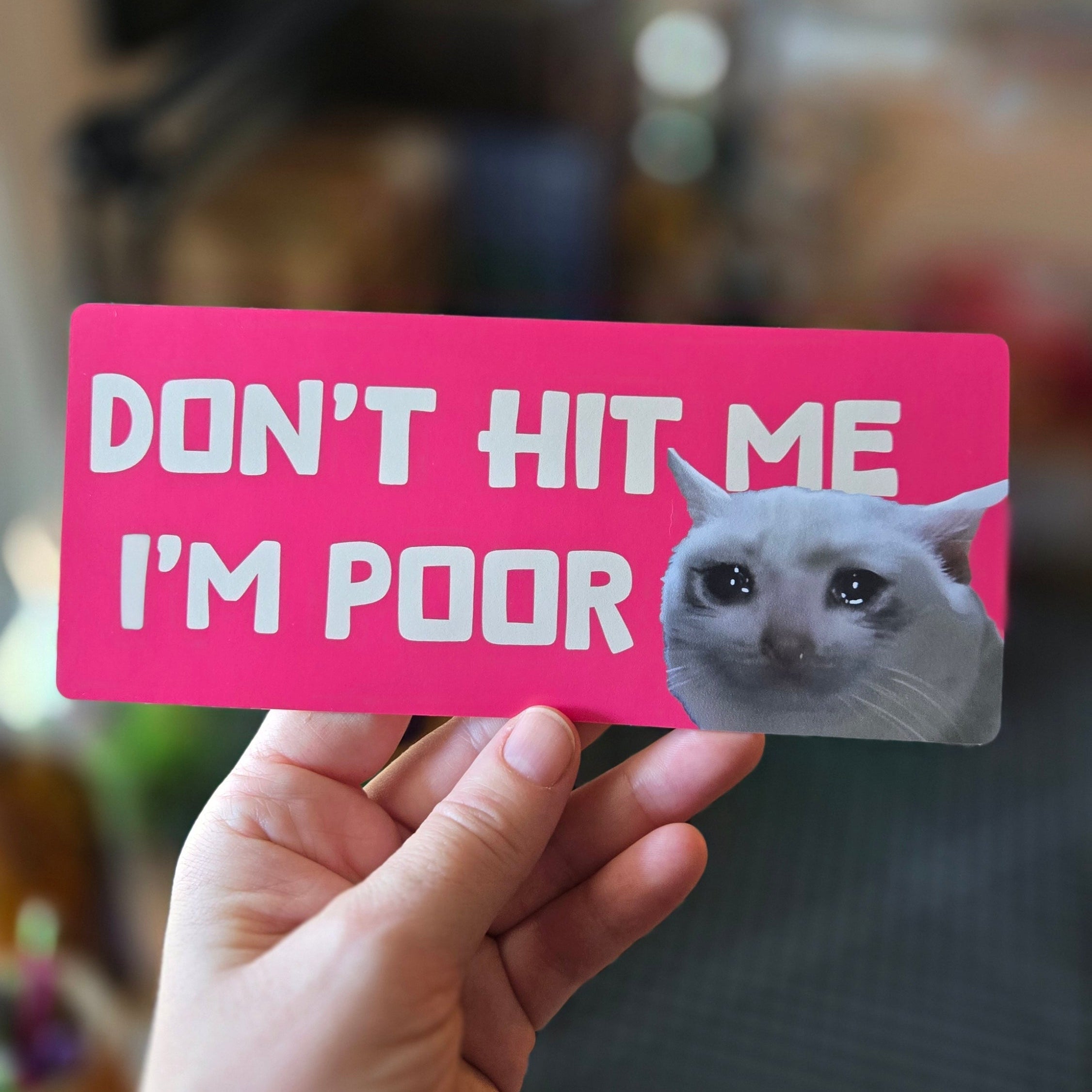 Hand holding a pink sign with a cat graphic and text 'DON'T HIT ME I'M POOR' against a blurred background.