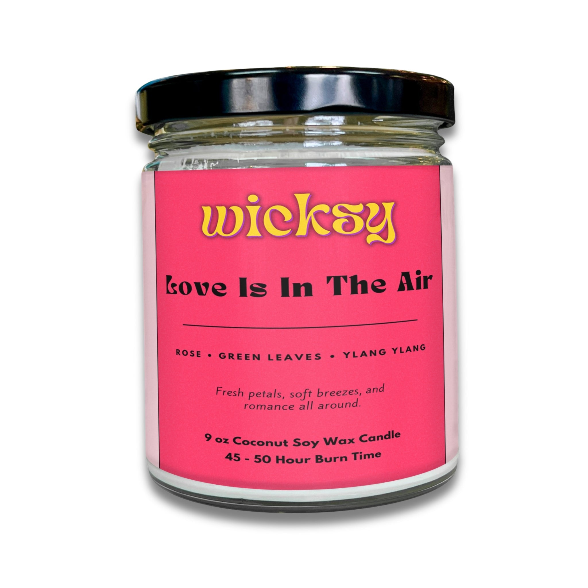 Wicksy 9oz Single Wick Candle | Spotify Playlist + Wildflower Seed Kit Included