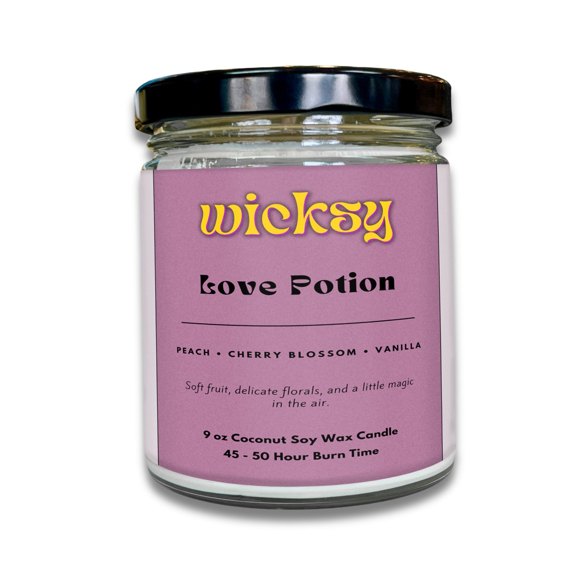 Wicksy 9oz Single Wick Candle | Spotify Playlist + Wildflower Seed Kit Included