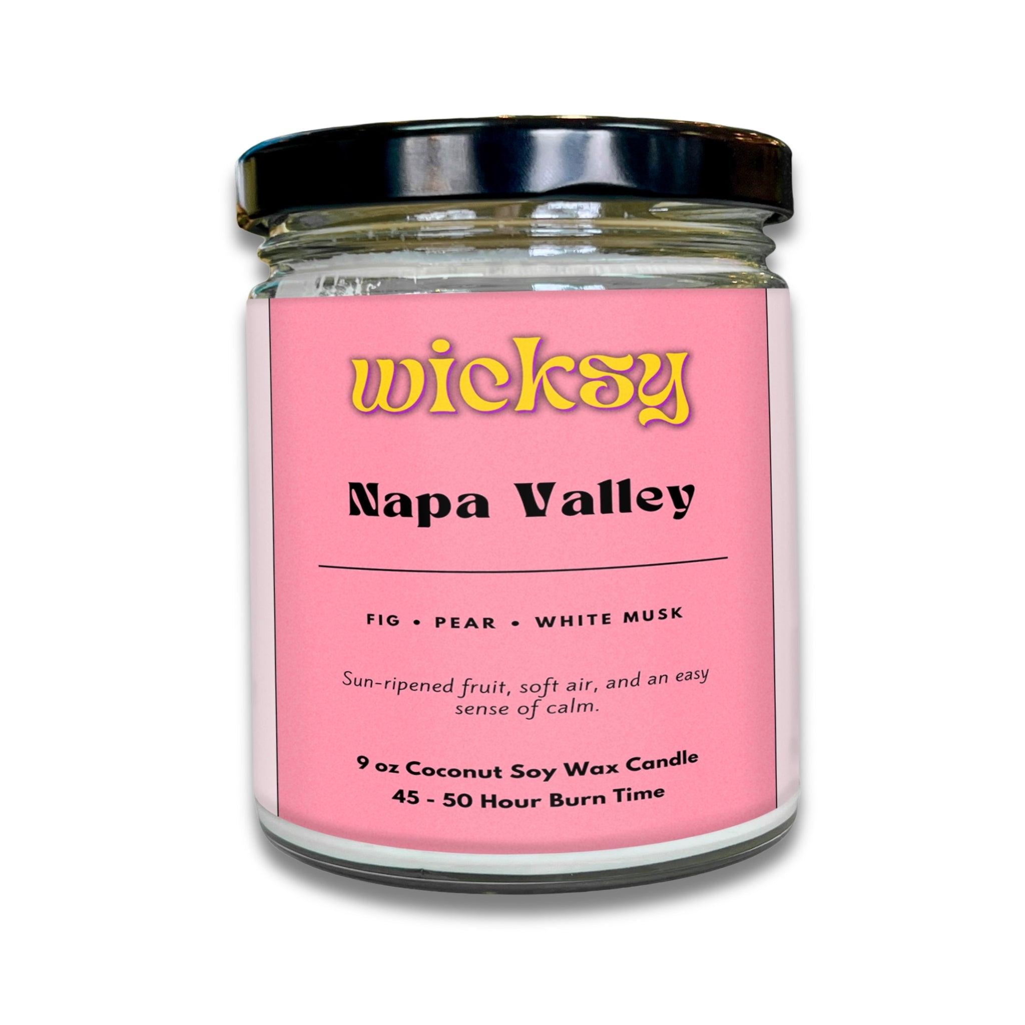Wicksy 9oz Single Wick Candle | Spotify Playlist + Wildflower Seed Kit Included