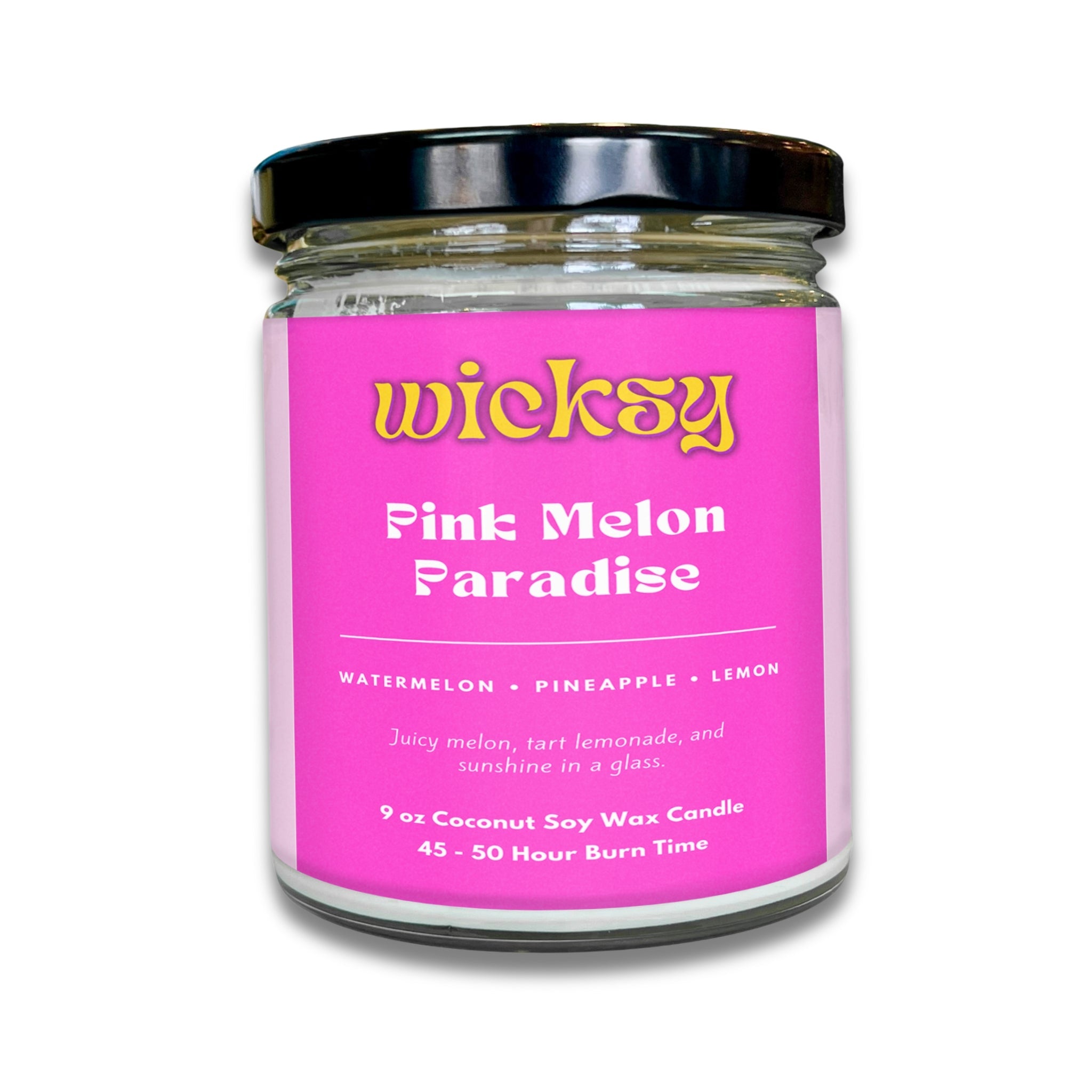Wicksy 9oz Single Wick Candle | Spotify Playlist + Wildflower Seed Kit Included