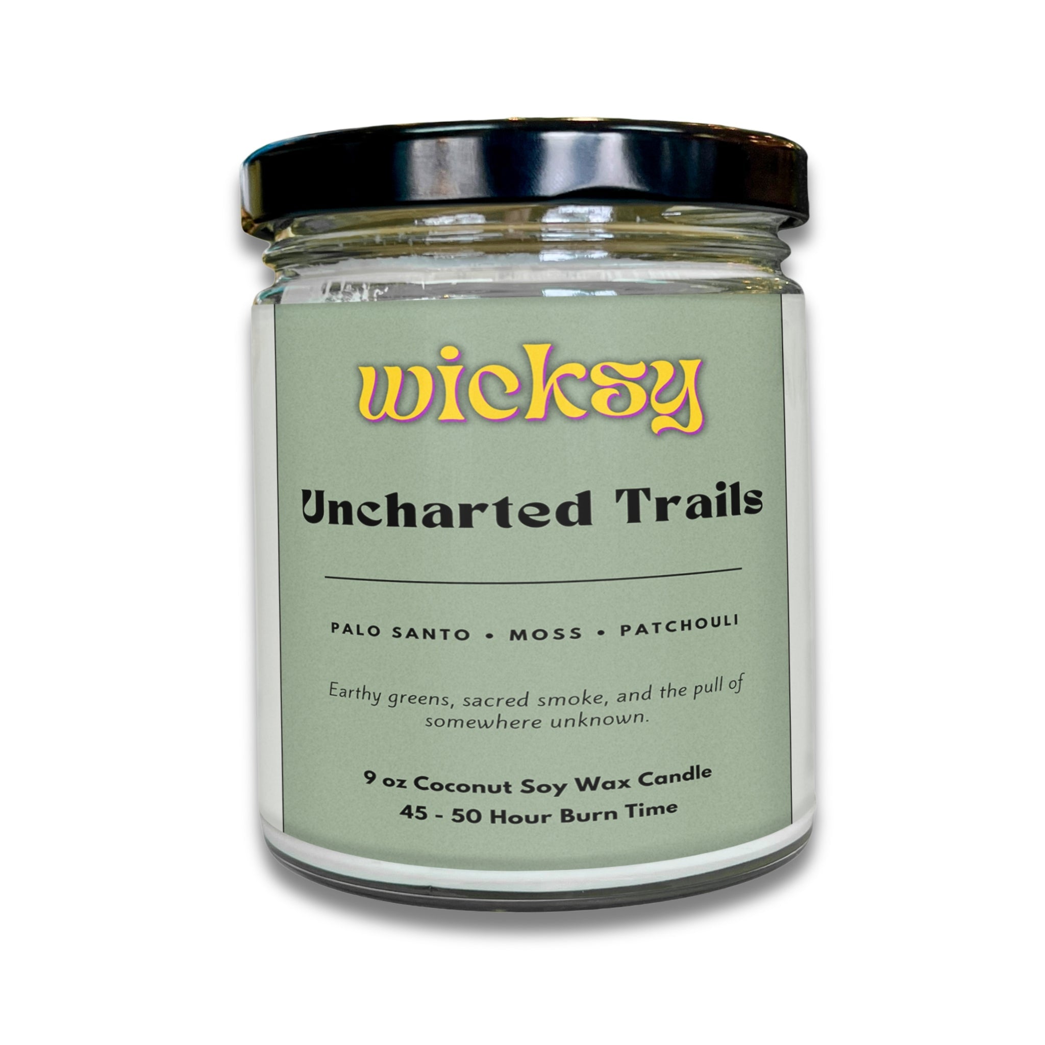 Wicksy 9oz Single Wick Candle | Spotify Playlist + Wildflower Seed Kit Included