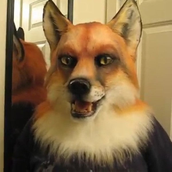 Person wearing a fox mask indoors