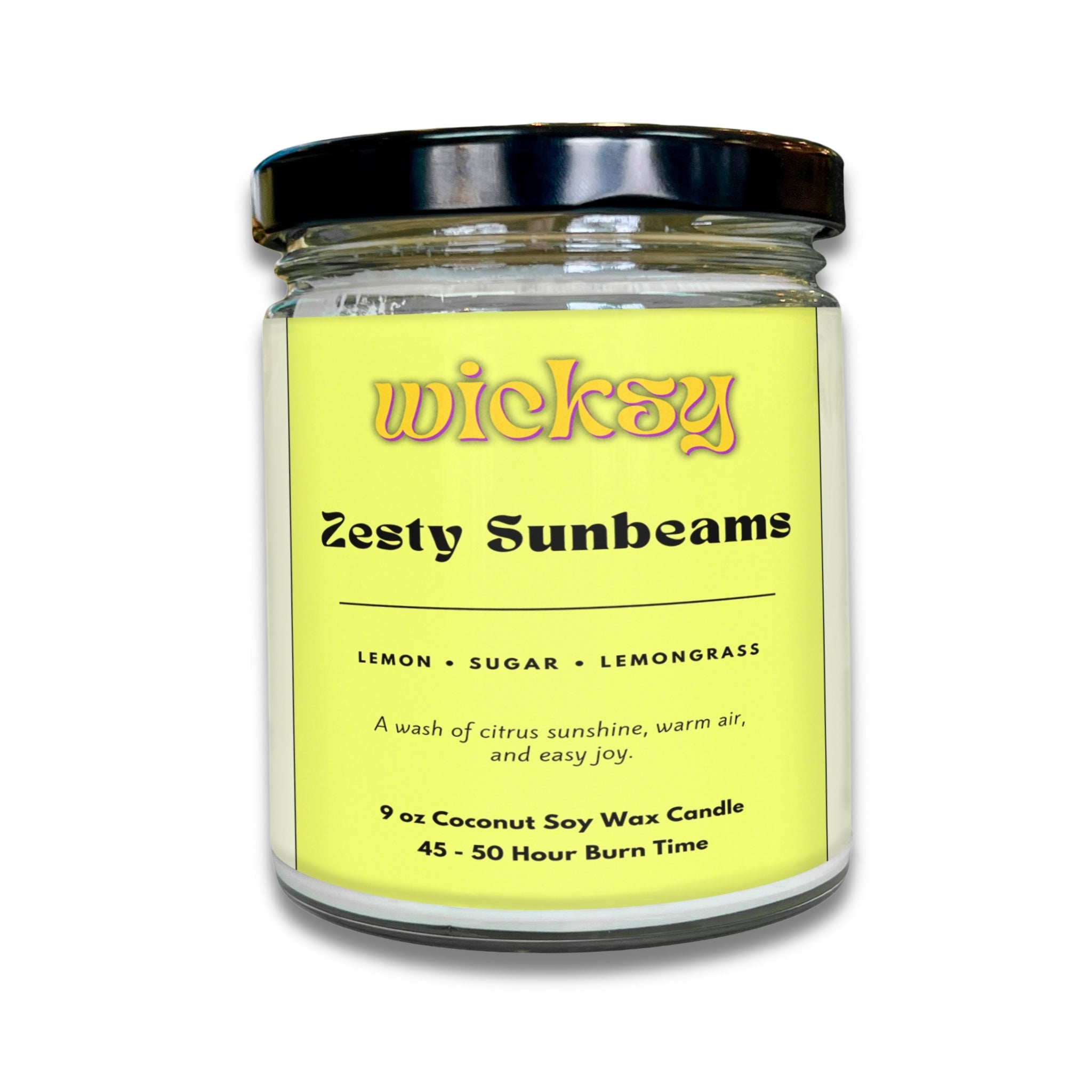 Wicksy 9oz Single Wick Candle | Spotify Playlist + Wildflower Seed Kit Included