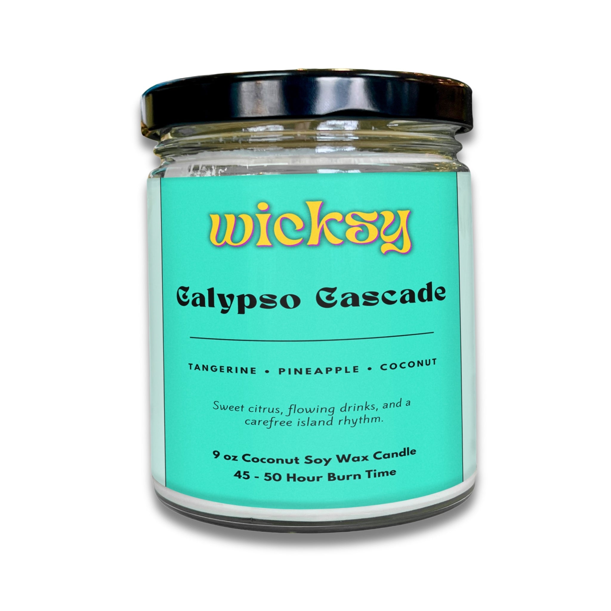 Wicksy 9oz Single Wick Candle | Spotify Playlist + Wildflower Seed Kit Included
