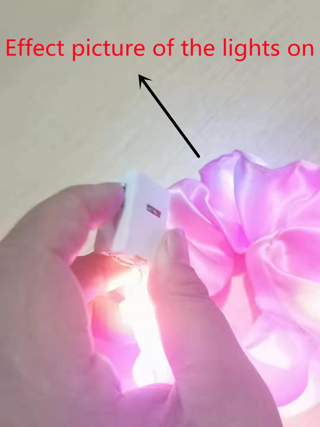 Hand holding a small light bulb near a pink flower with text indicating 'Effect picture of the lights on'.