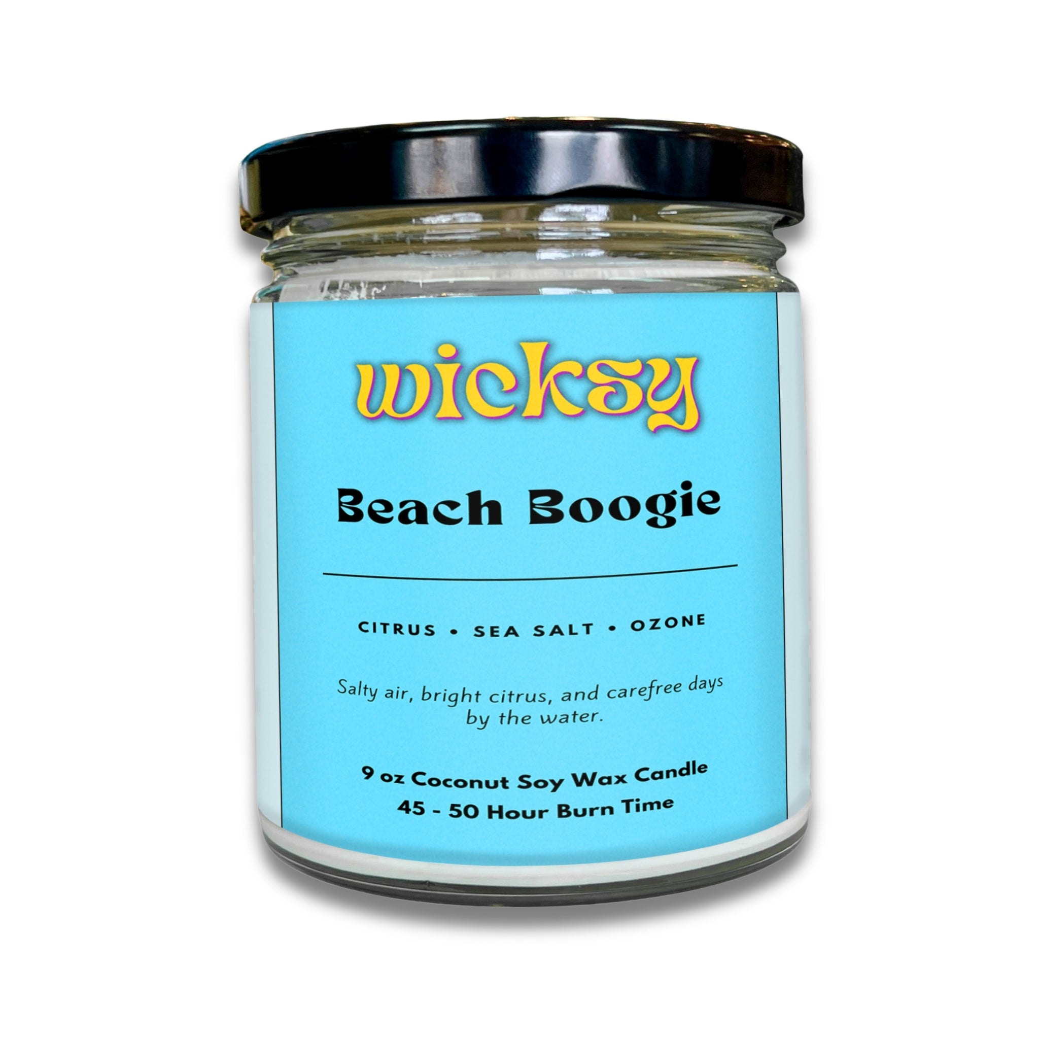 Wicksy 9oz Single Wick Candle | Spotify Playlist + Wildflower Seed Kit Included