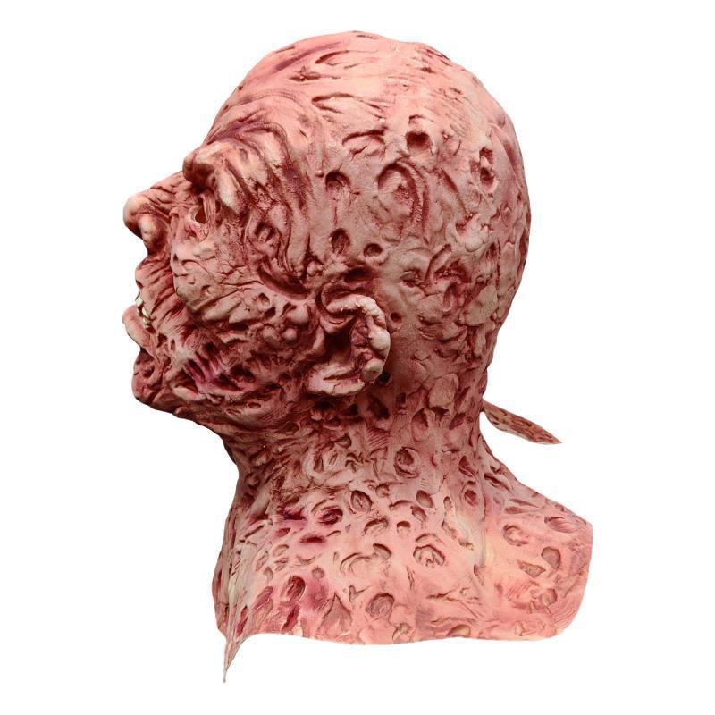 Detailed model of a human head and neck on a white background
