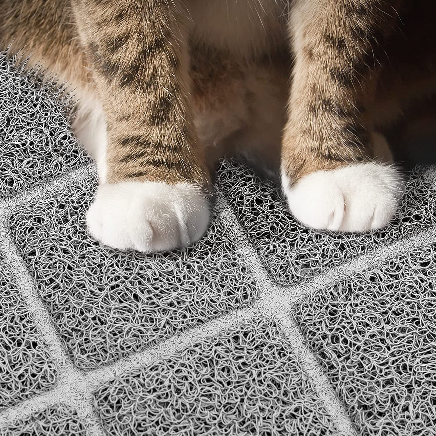 Niubya Large Cat Litter Mat | Waterproof, Non-Slip, Dual-Layer Trapping