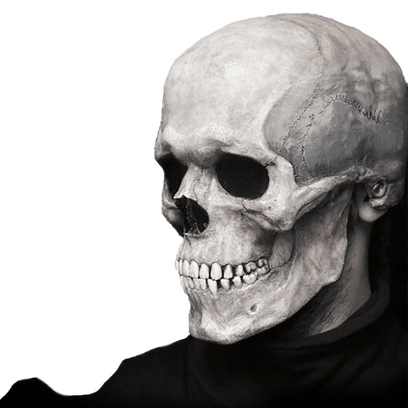 Skull mask on a white background