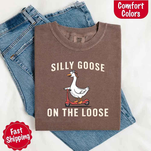Brown t-shirt with 'Silly Goose on the Loose' graphic and jeans on a white background