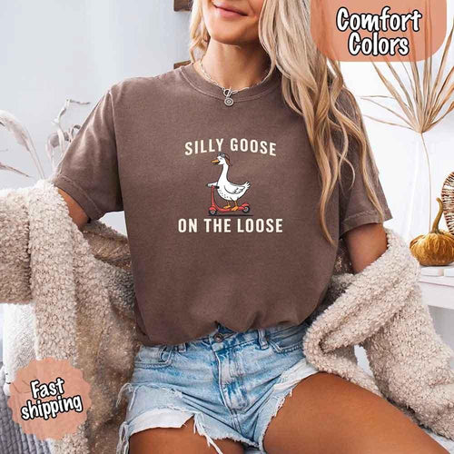 Person wearing a brown t-shirt with 'Silly Goose on the Loose' text and graphic, sitting indoors.