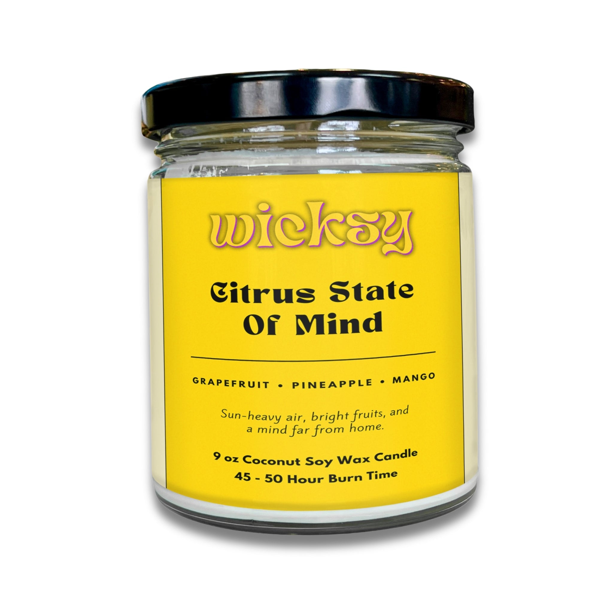 Wicksy 9oz Single Wick Candle | Spotify Playlist + Wildflower Seed Kit Included