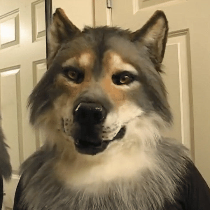 Dog wearing a wolf mask indoors with a neutral background