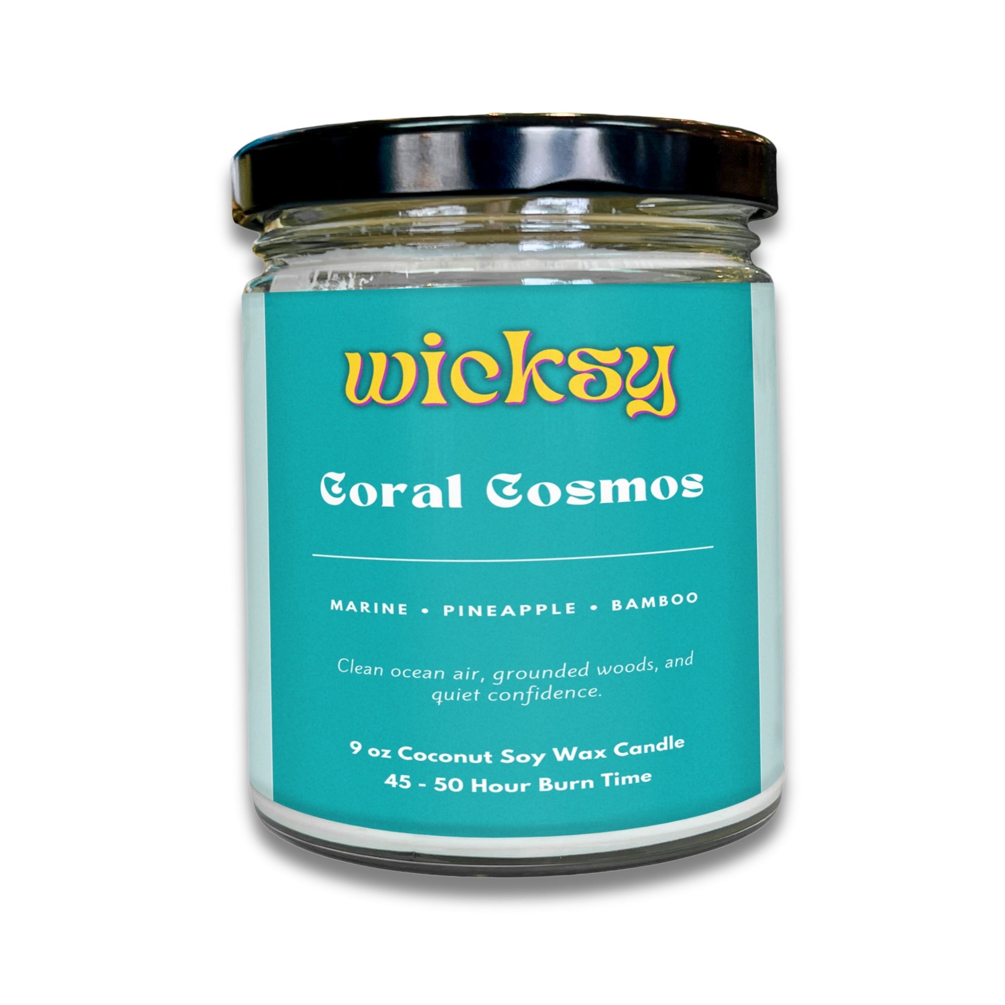Wicksy 9oz Single Wick Candle | Spotify Playlist + Wildflower Seed Kit Included