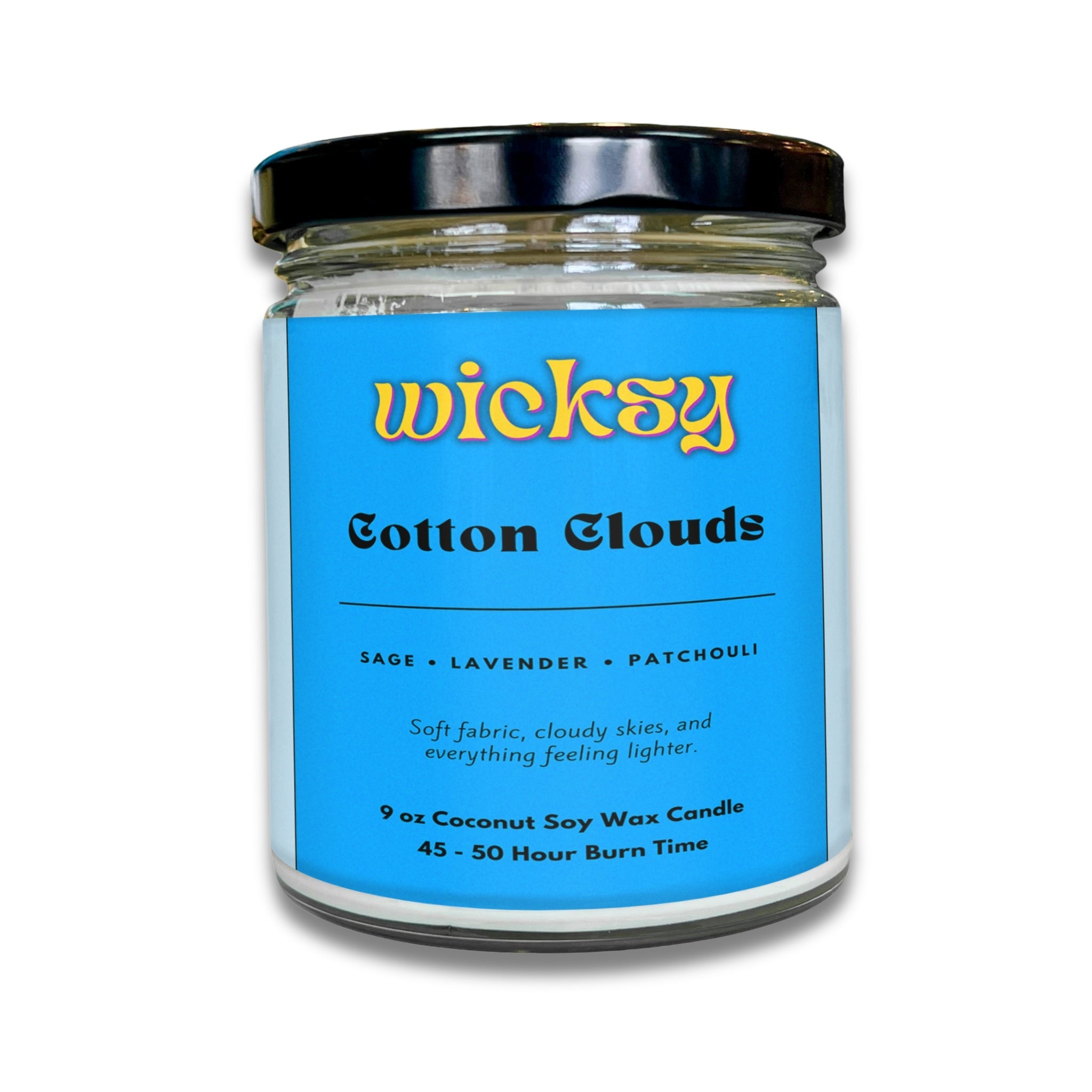 Wicksy 9oz Single Wick Candle | Spotify Playlist + Wildflower Seed Kit Included