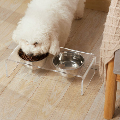 A small white dog eats from a stainless steel bowl placed on a clear acrylic pet feeder stand, with a second empty stainless steel water bowl beside it on a light wood floor.