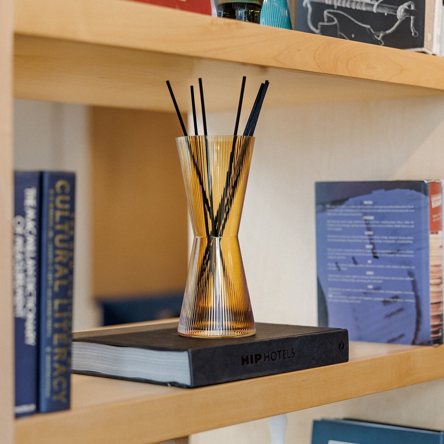 Vase with black sticks on a book titled 'HIP HOTELS' on a wooden shelf.