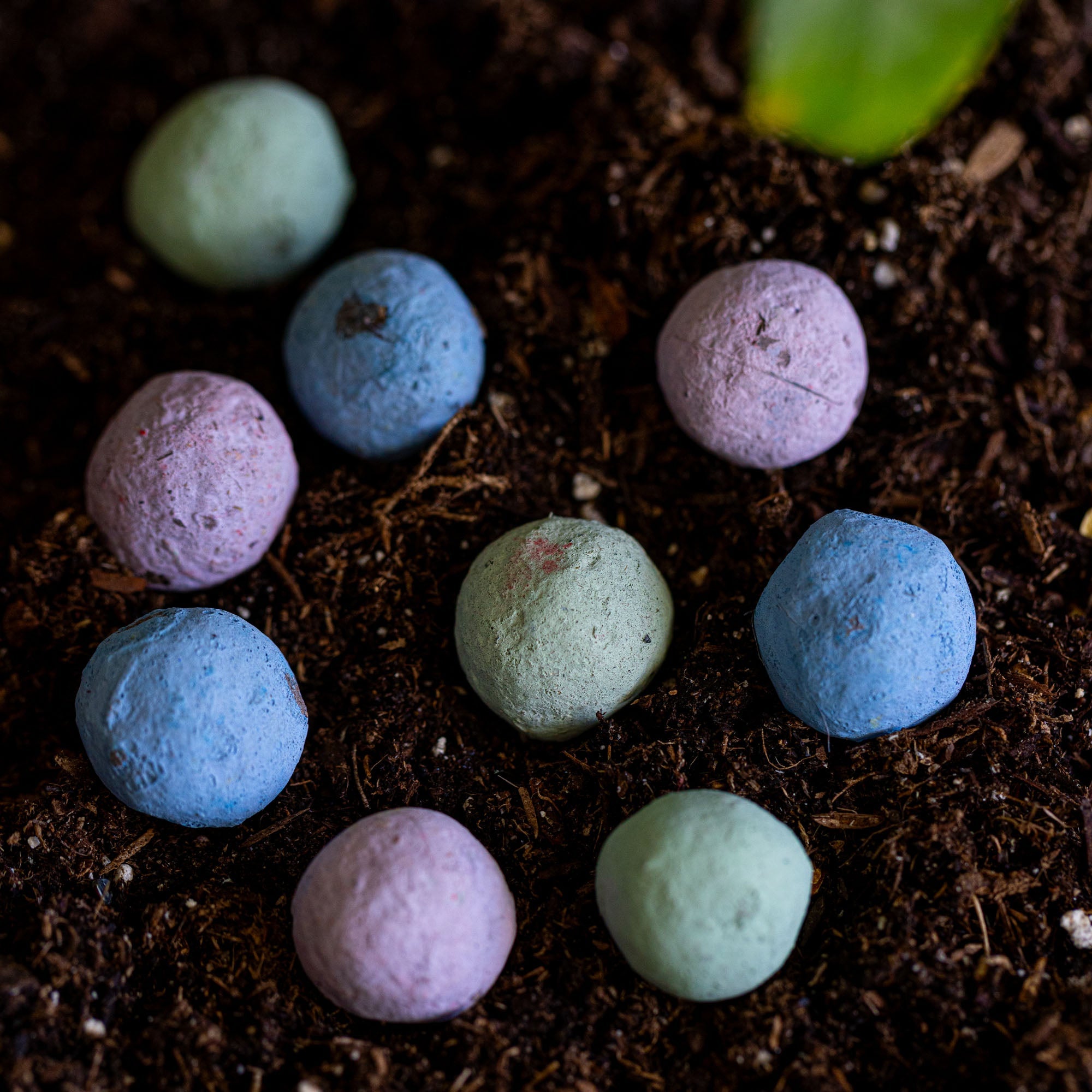 Pastel-colored seed balls on a green grass background