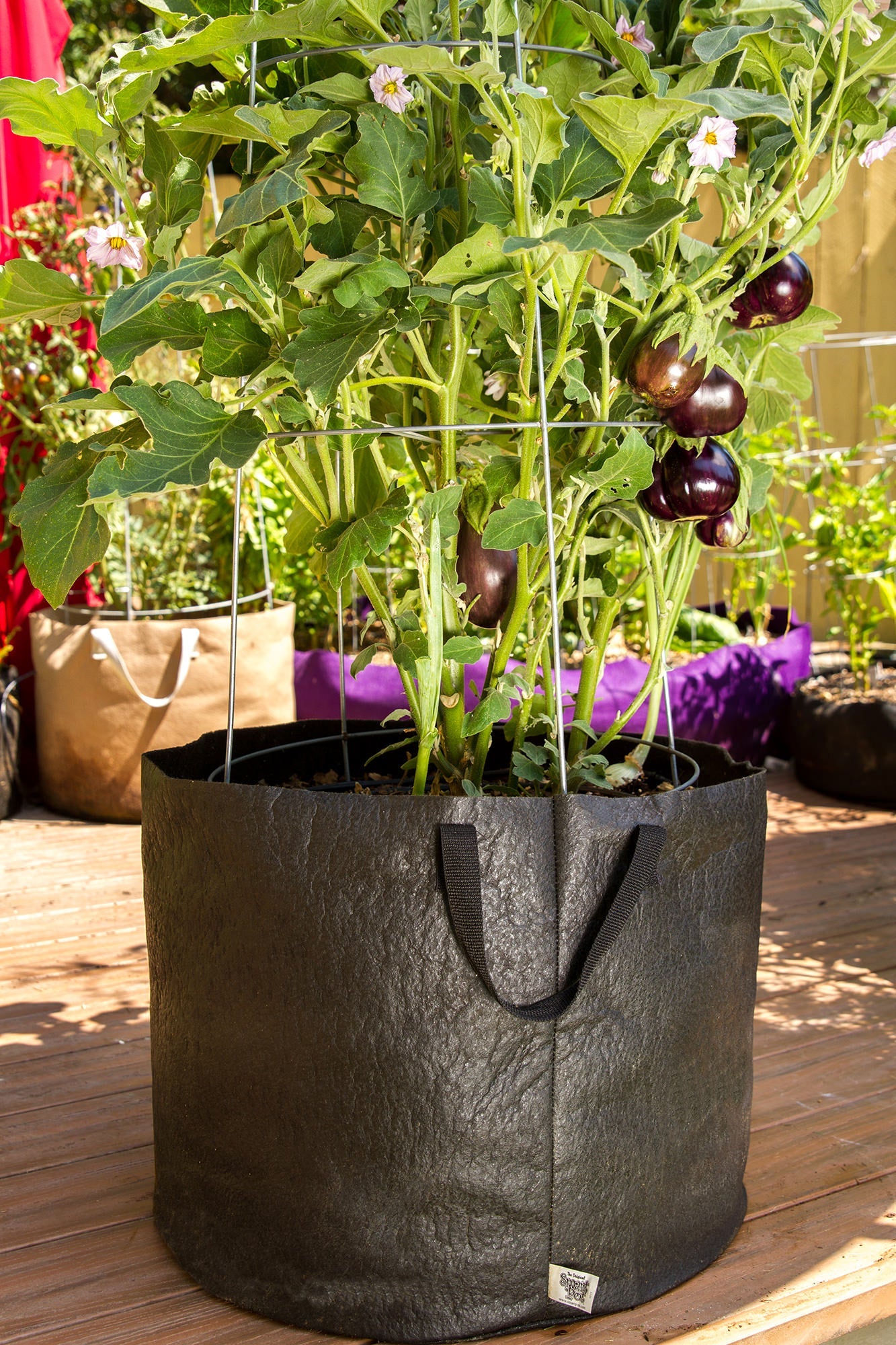 Smart Pot Fabric Planter | 1–1,000 Gallon | Multiple Colors
