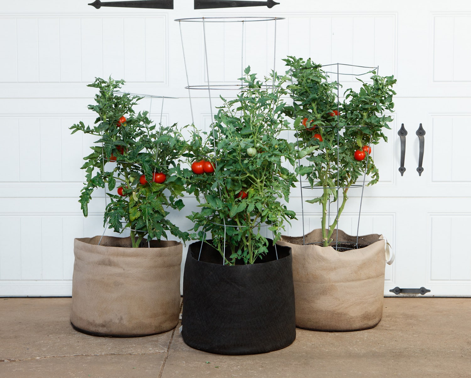 Smart Pot Fabric Planter | 1–1,000 Gallon | Multiple Colors