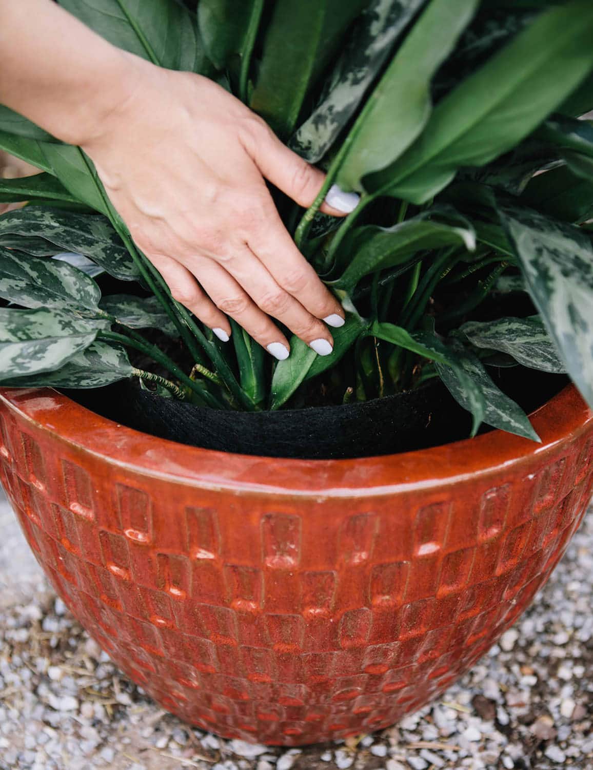 Smart Pot Fabric Planter | 1–1,000 Gallon | Multiple Colors
