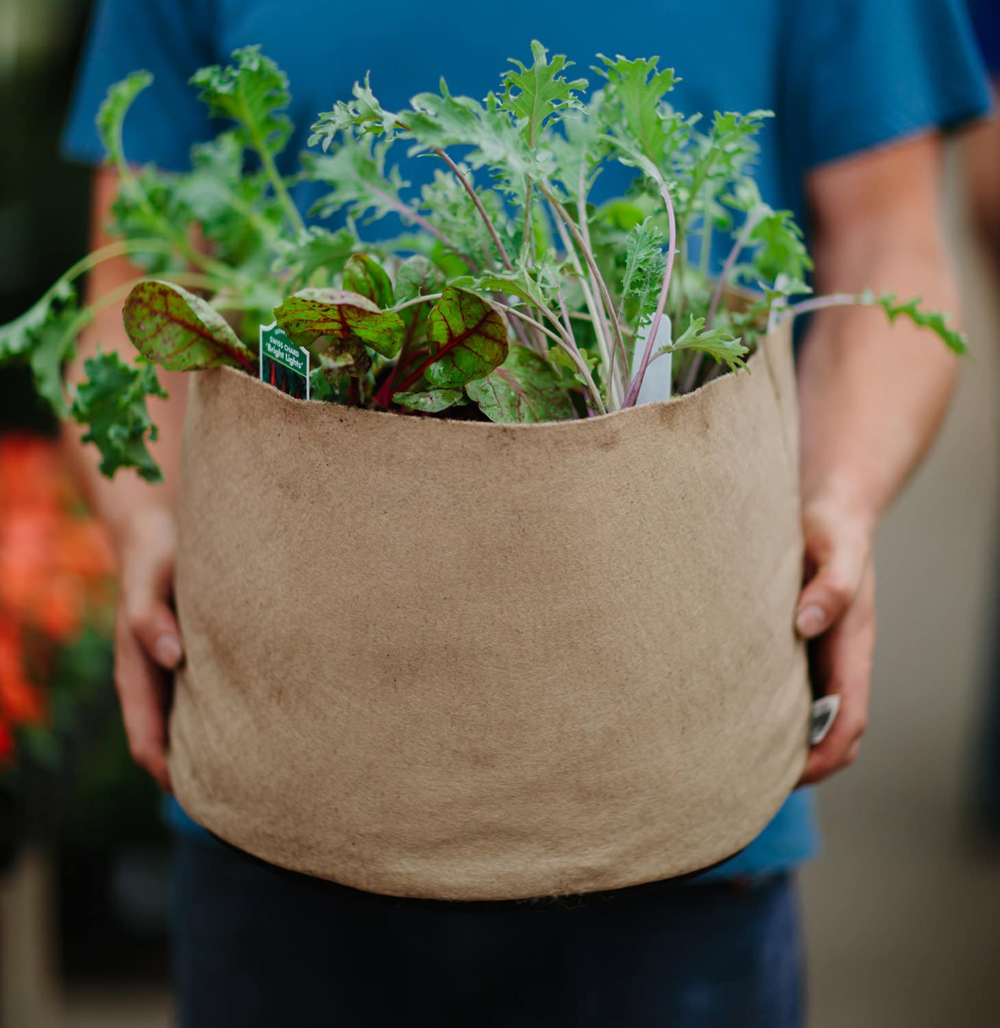 Smart Pot Fabric Planter | 1–1,000 Gallon | Multiple Colors