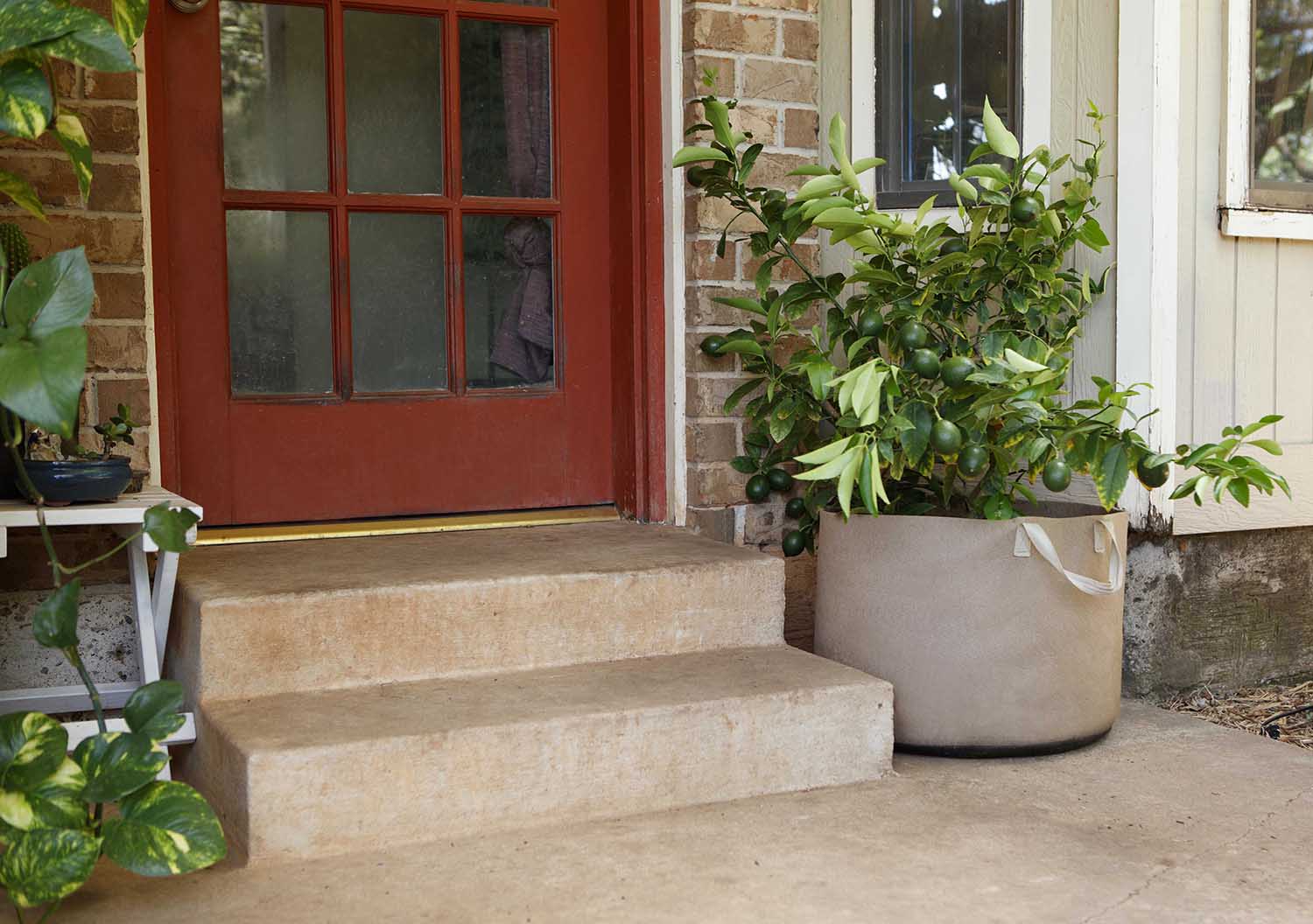 Smart Pot Fabric Planter | 1–1,000 Gallon | Multiple Colors