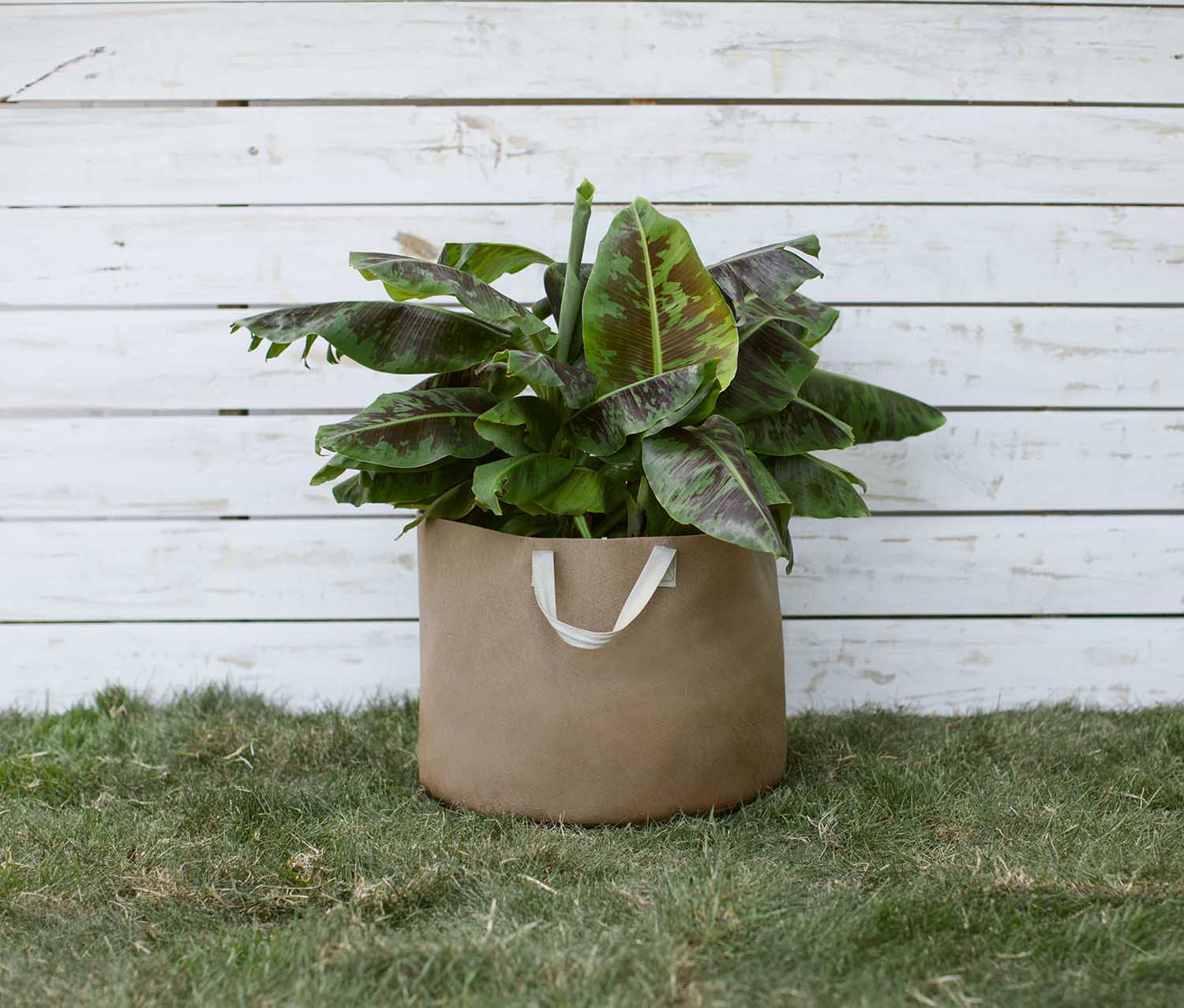 Smart Pot Fabric Planter | 1–1,000 Gallon | Multiple Colors