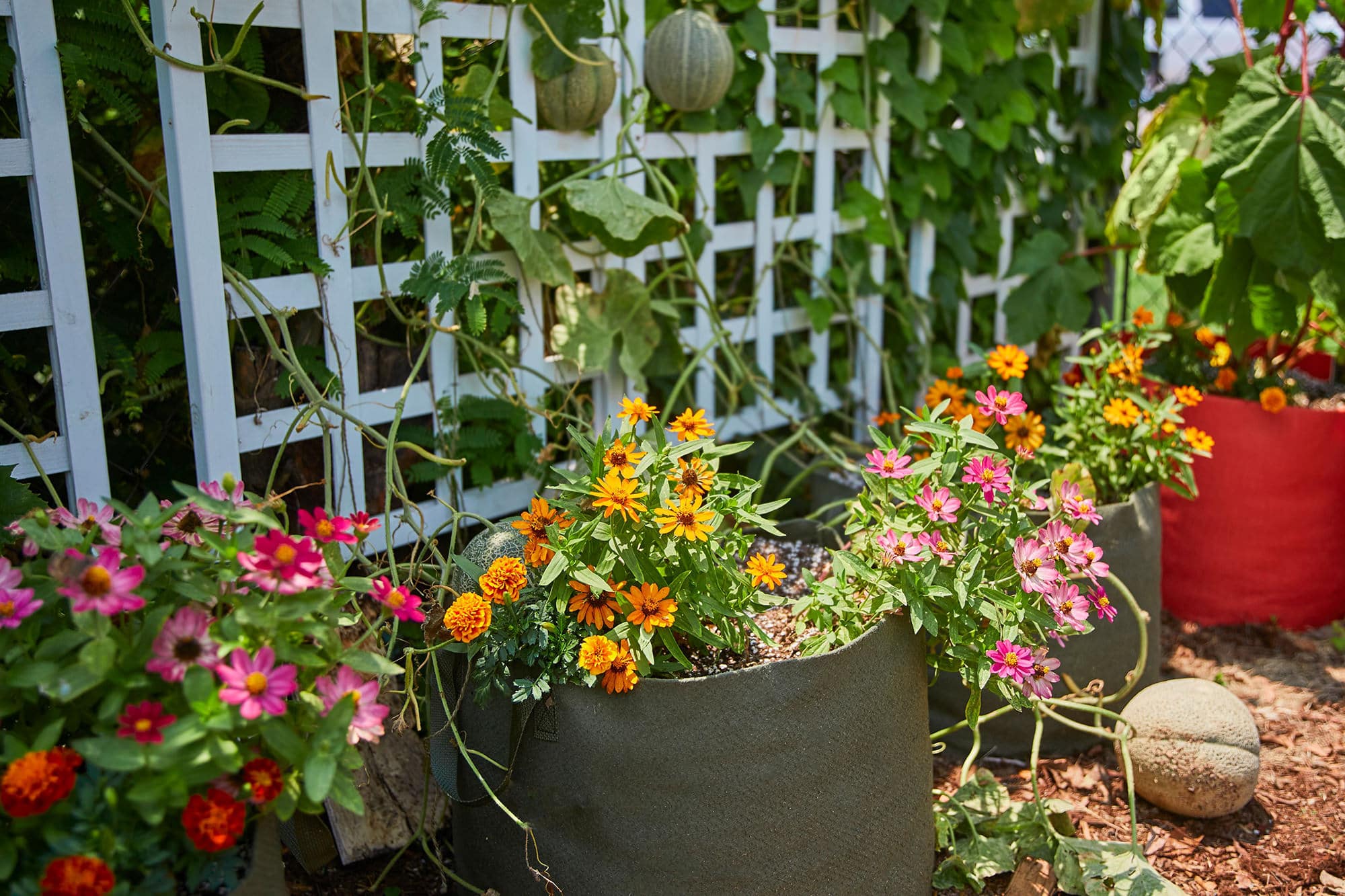 Smart Pot Fabric Planter | 1–1,000 Gallon | Multiple Colors
