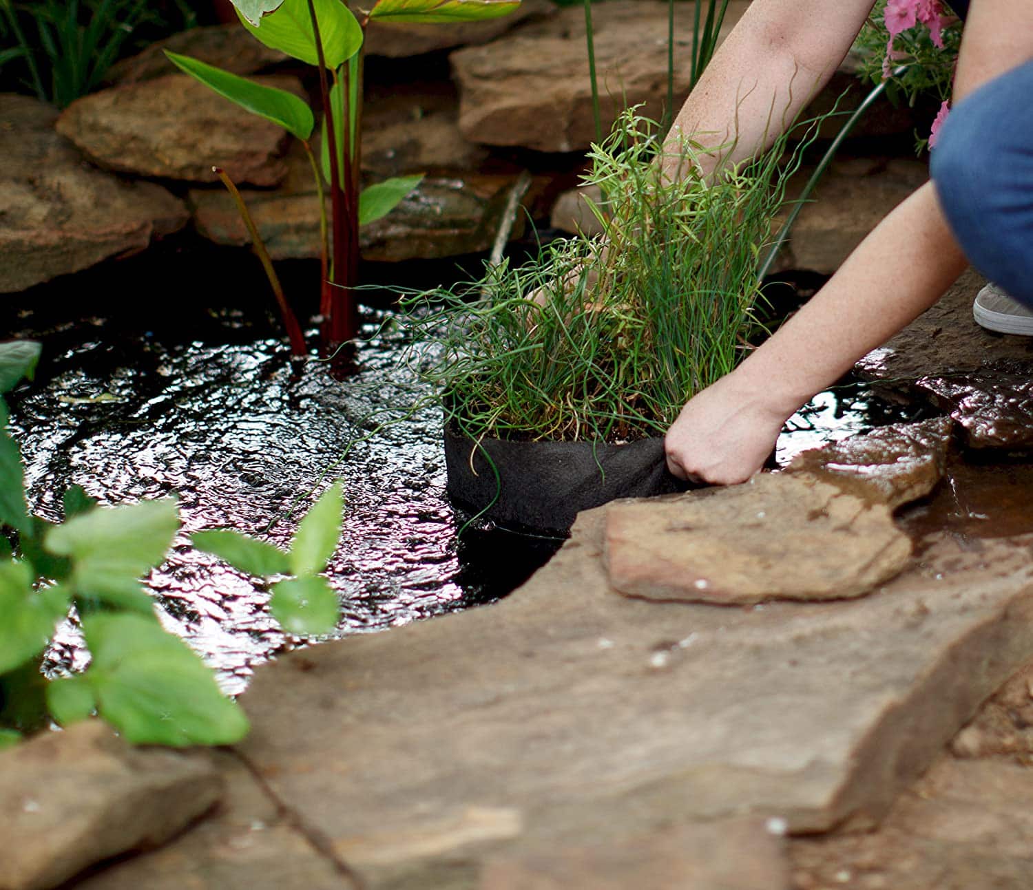Smart Pot Pond Pot | Fabric Grow Container | 1–15 Gallon