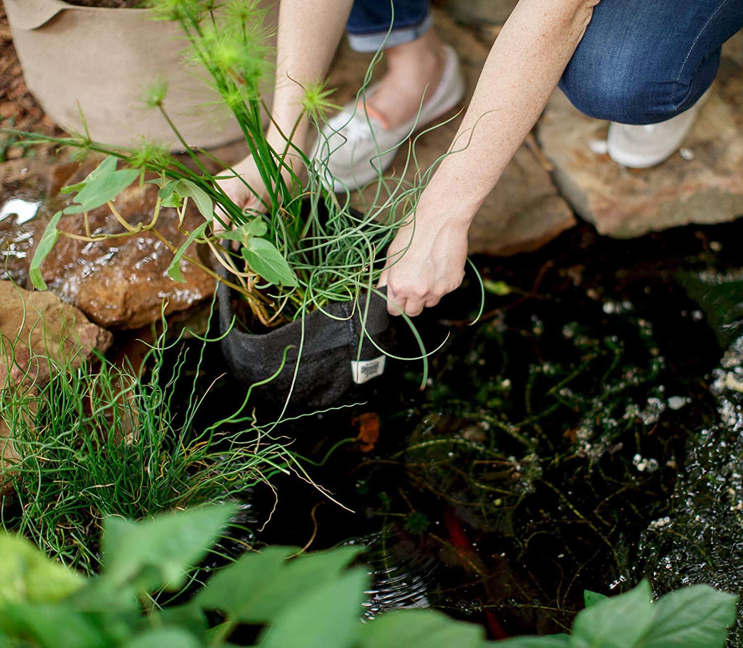 Smart Pot Pond Pot | Fabric Grow Container | 1–15 Gallon