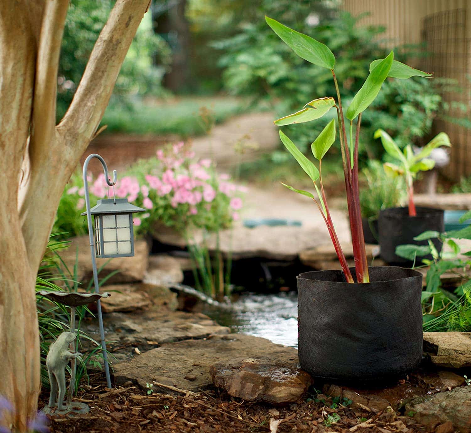 Smart Pot Pond Pot | Fabric Grow Container | 1–15 Gallon