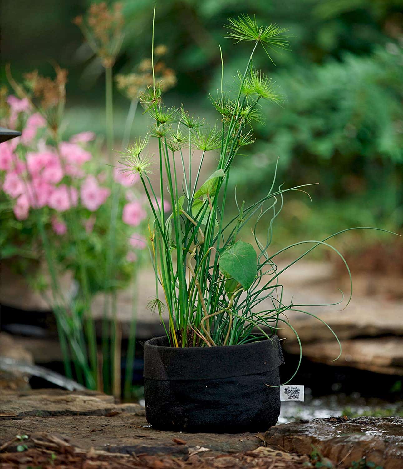 Smart Pot Pond Pot | Fabric Grow Container | 1–15 Gallon