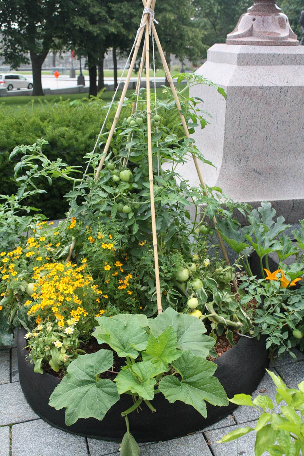 Smart Pot Round Raised Bed | Fabric Raised Garden Bed | 24", 36" & 50"