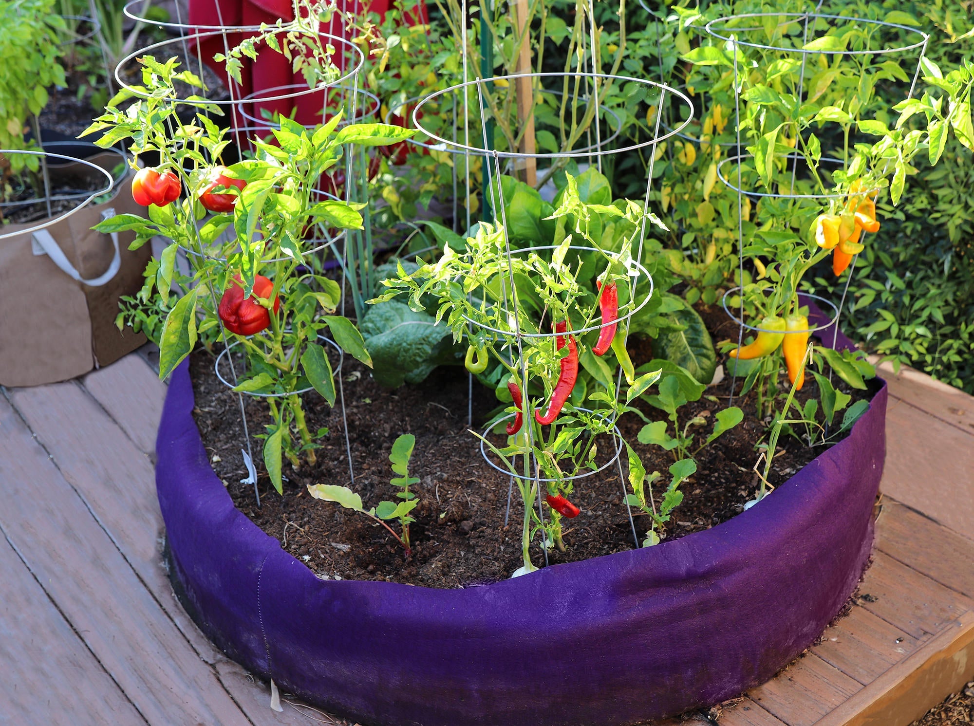 Smart Pot Round Raised Bed | Fabric Raised Garden Bed | 24", 36" & 50"