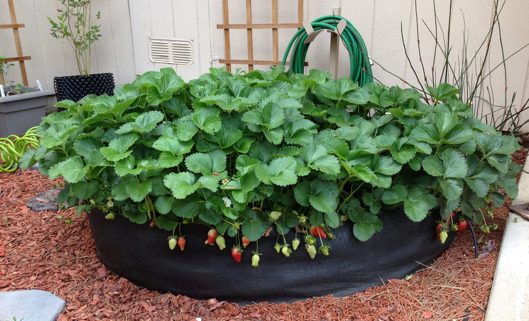 Smart Pot Round Raised Bed | Fabric Raised Garden Bed | 24", 36" & 50"